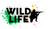 Wild Life